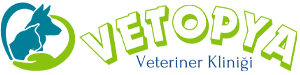Vetopya Veteriner Kliniği – Urla’da 7/24 Güvenilir ve Şefkatli Veteriner Hizmeti